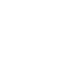 WWW-Icon